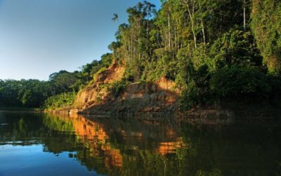 AMAZONTEC2022: MUESTRAN ÚLTIMOS AVANCES DE LA CIENCIA Y TECNOLOGÍA PARA PROTEGER LA AMAZONÍA