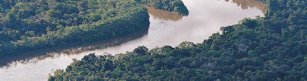 #AmazonTEC2023: expertos advierten sobre riesgos ambientales inminentes e instan a tomar medidas urgentes para la conservación de la amazonía